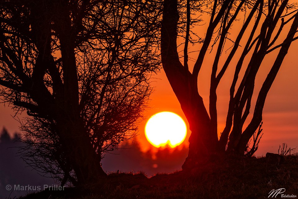 2014.03.07 190124 Sonnenuntergang Sachsenried 3000